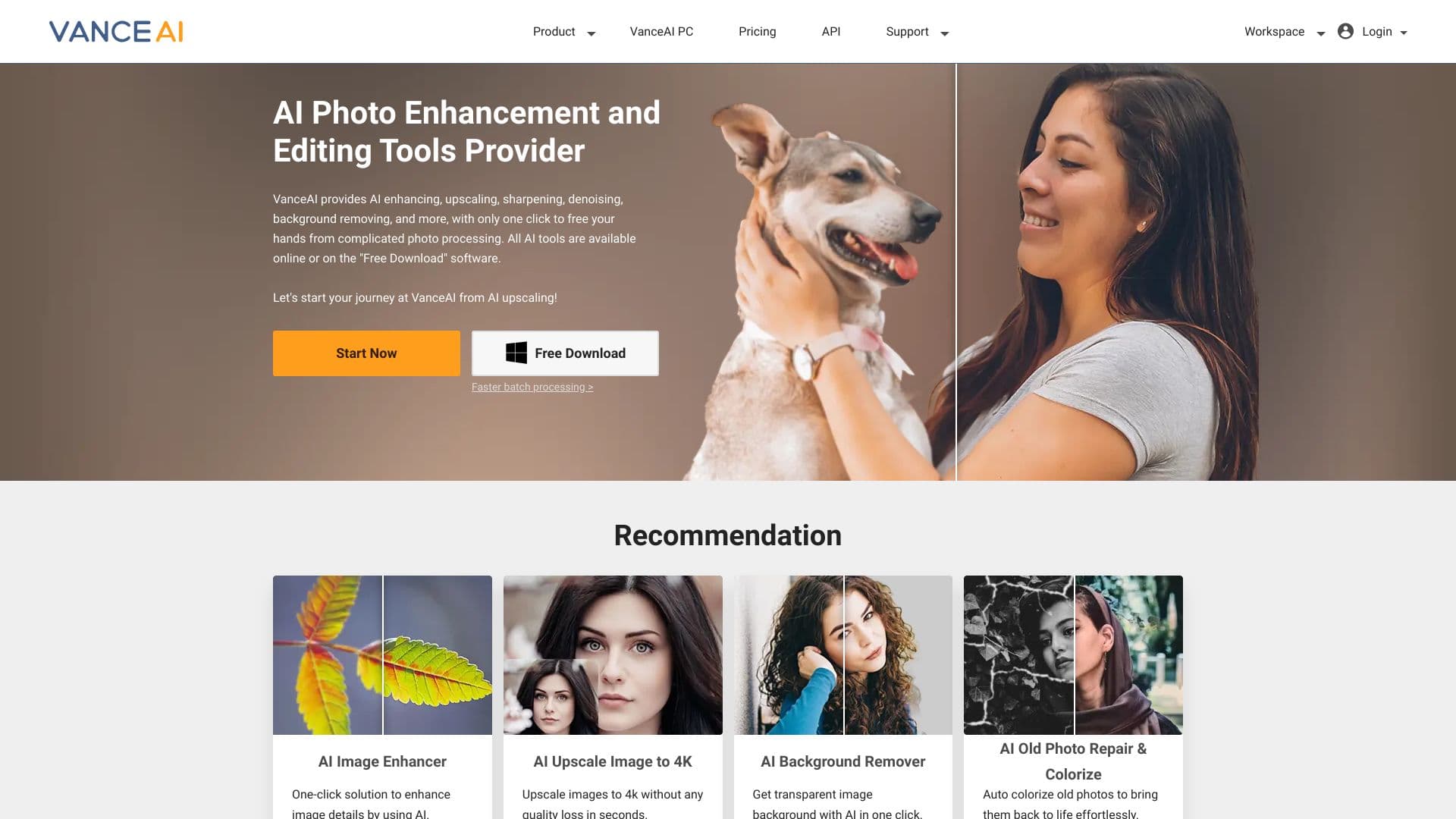 VanceAI screenshot 1