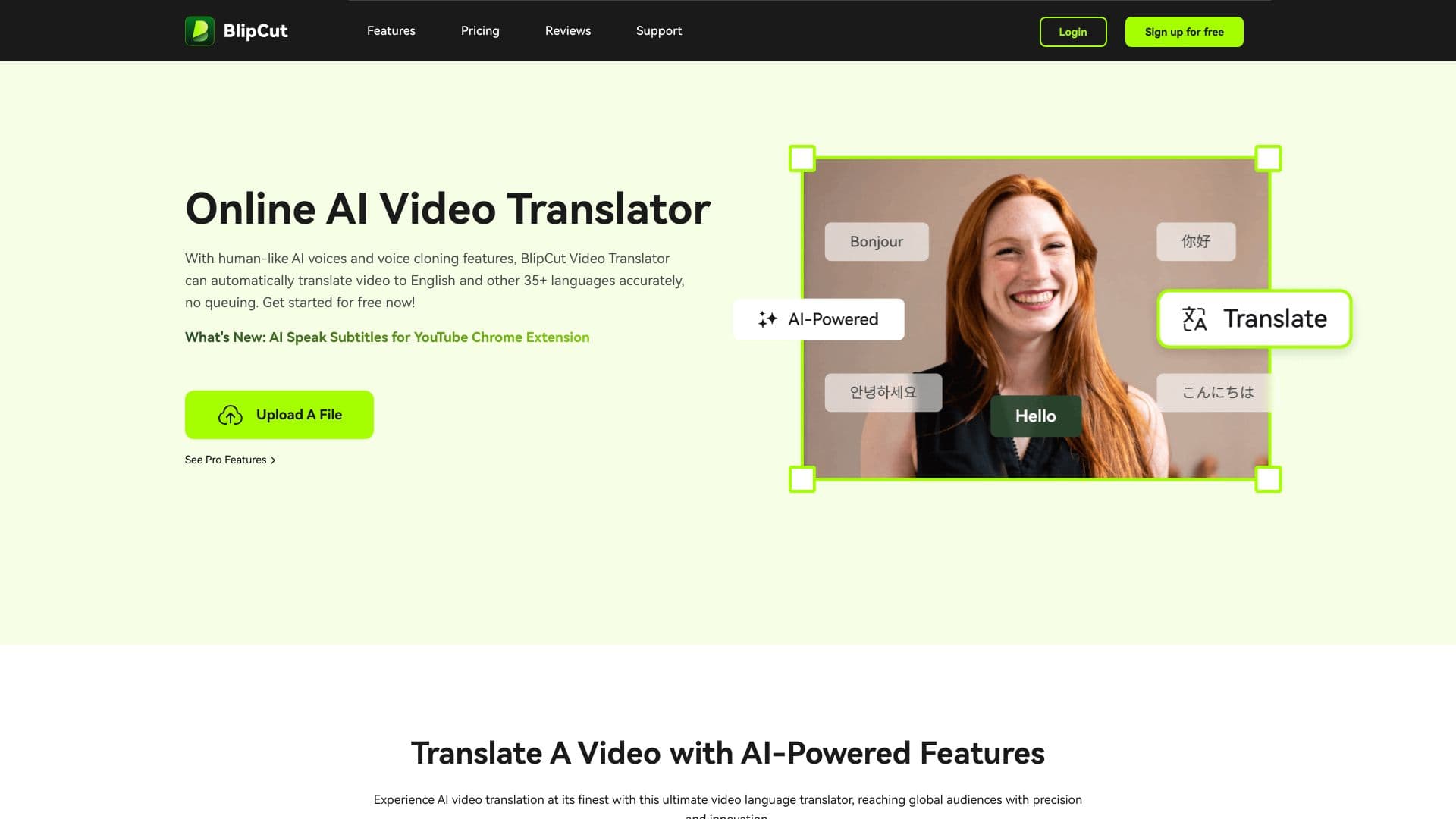 BlipCut AI Video Translator screenshot 1