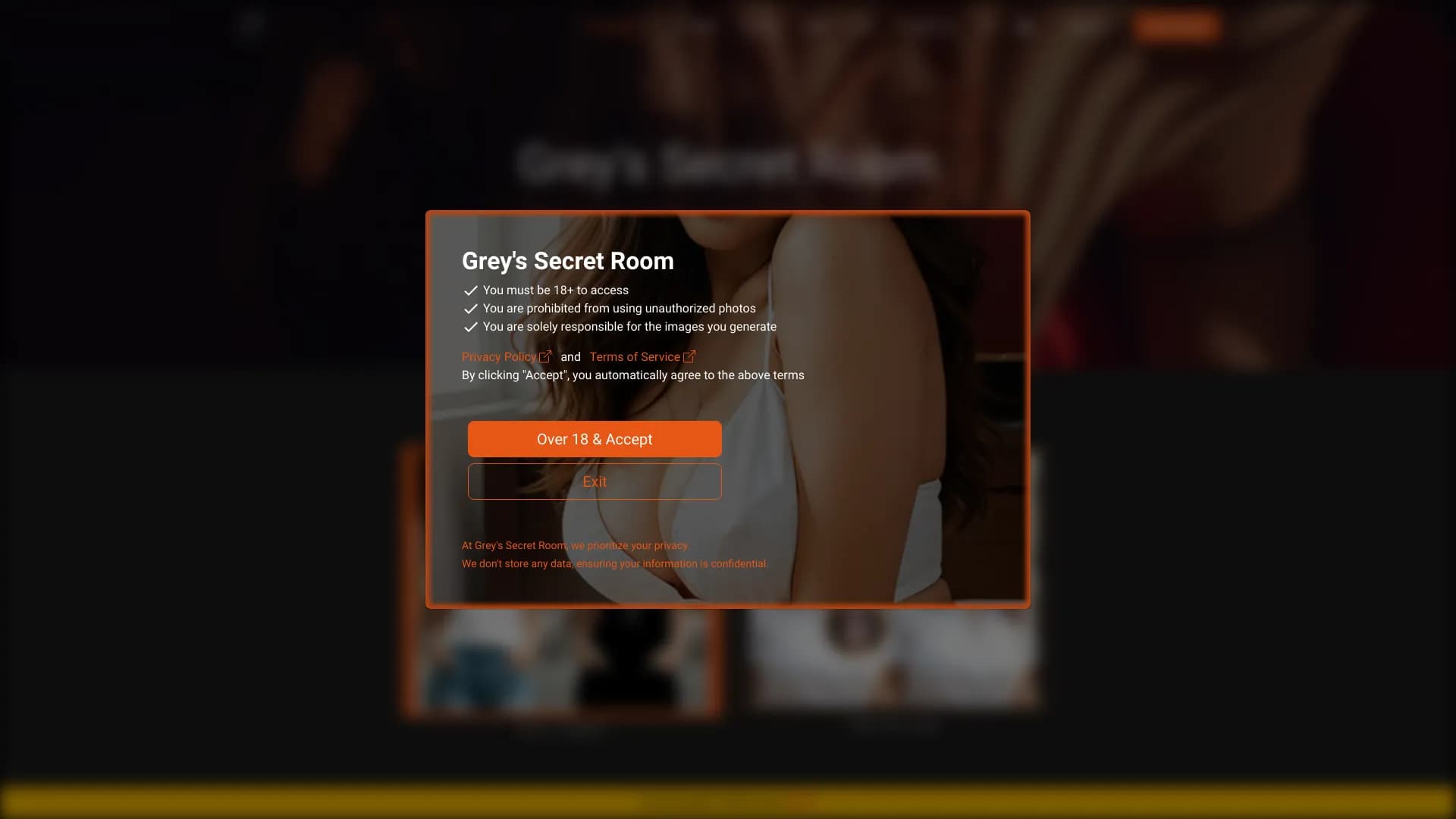 Grey's Secret Room screenshot 1