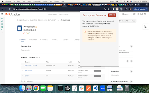 Alation ChatGPT Description Generator Extension screenshot 1