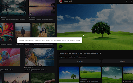 ImageALT screenshot 1