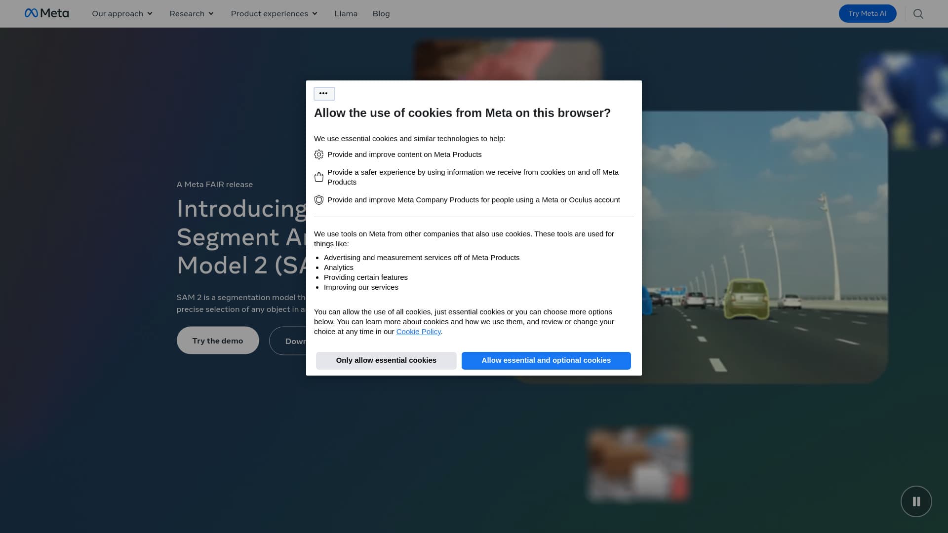 Meta Segment Anything Model 2 screenshot 1