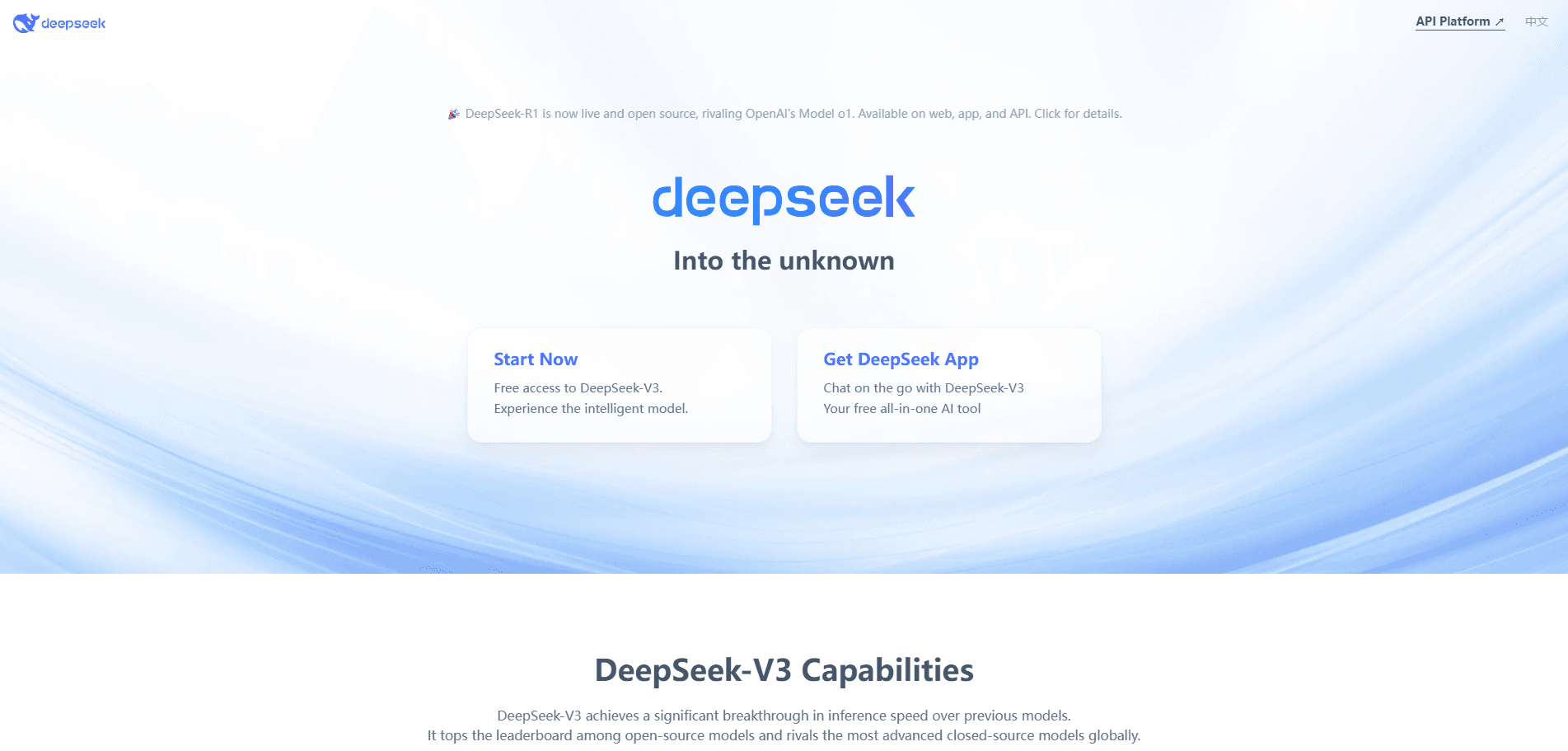 DeepSeek screenshot 1