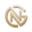 NITG logo